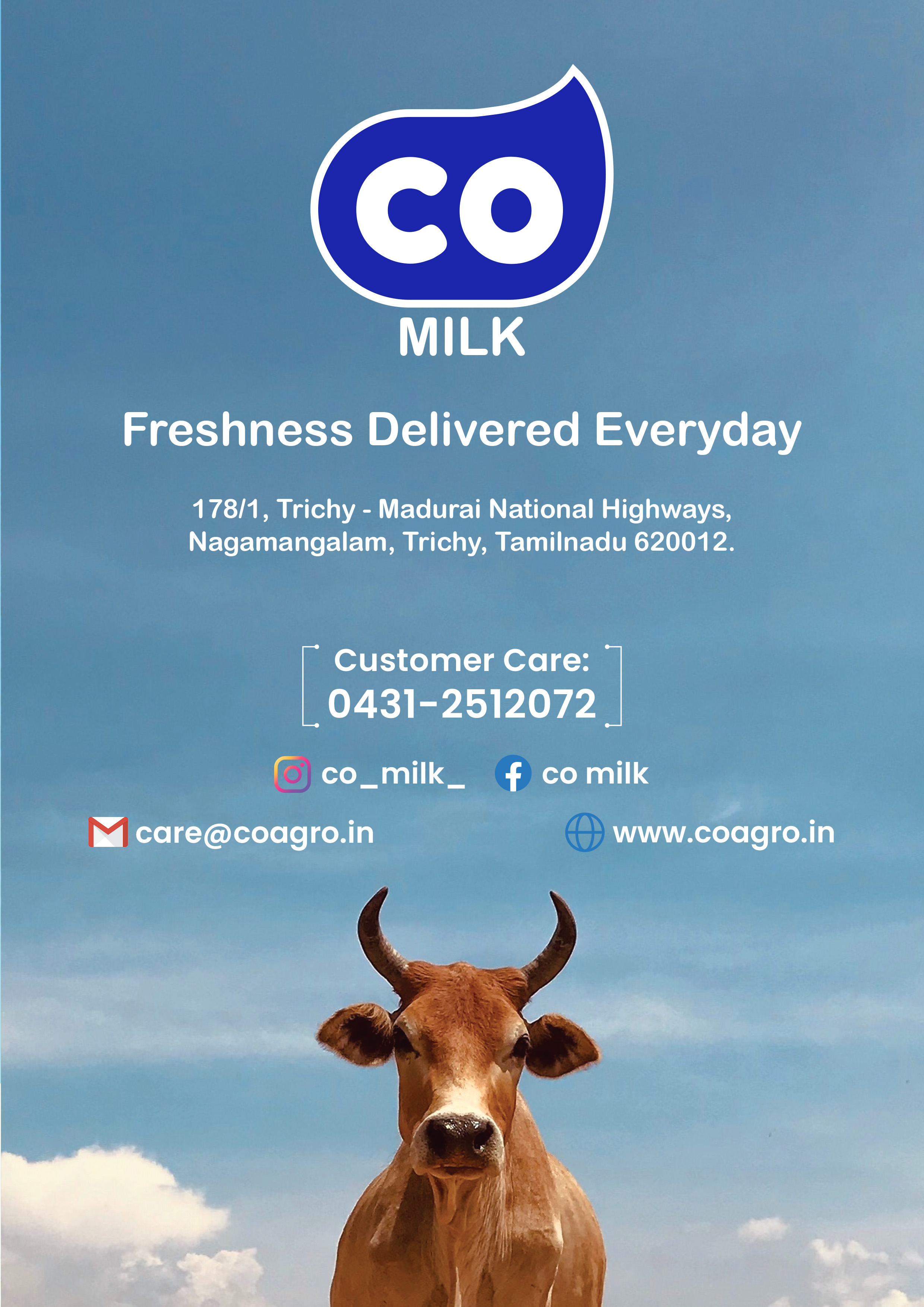 CO Milk 6